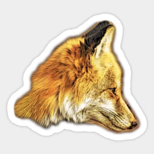 Orange Fox Sticker